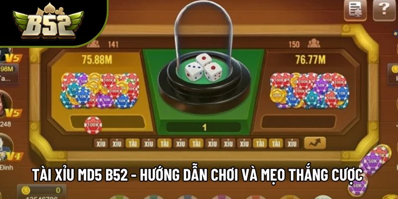 Tài Xỉu Md5 B52 - Hướng Dẫn Chơi Và Mẹo Thắng Cược Hiệu Quả