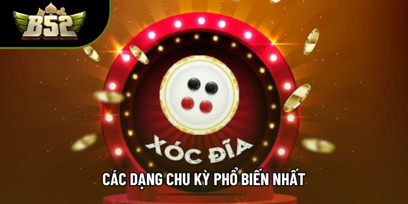 Các dạng chu kỳ phổ biến nhất